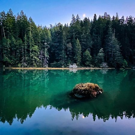 Mendocino Redwood Retreat - Vista Home Albion 외부 사진