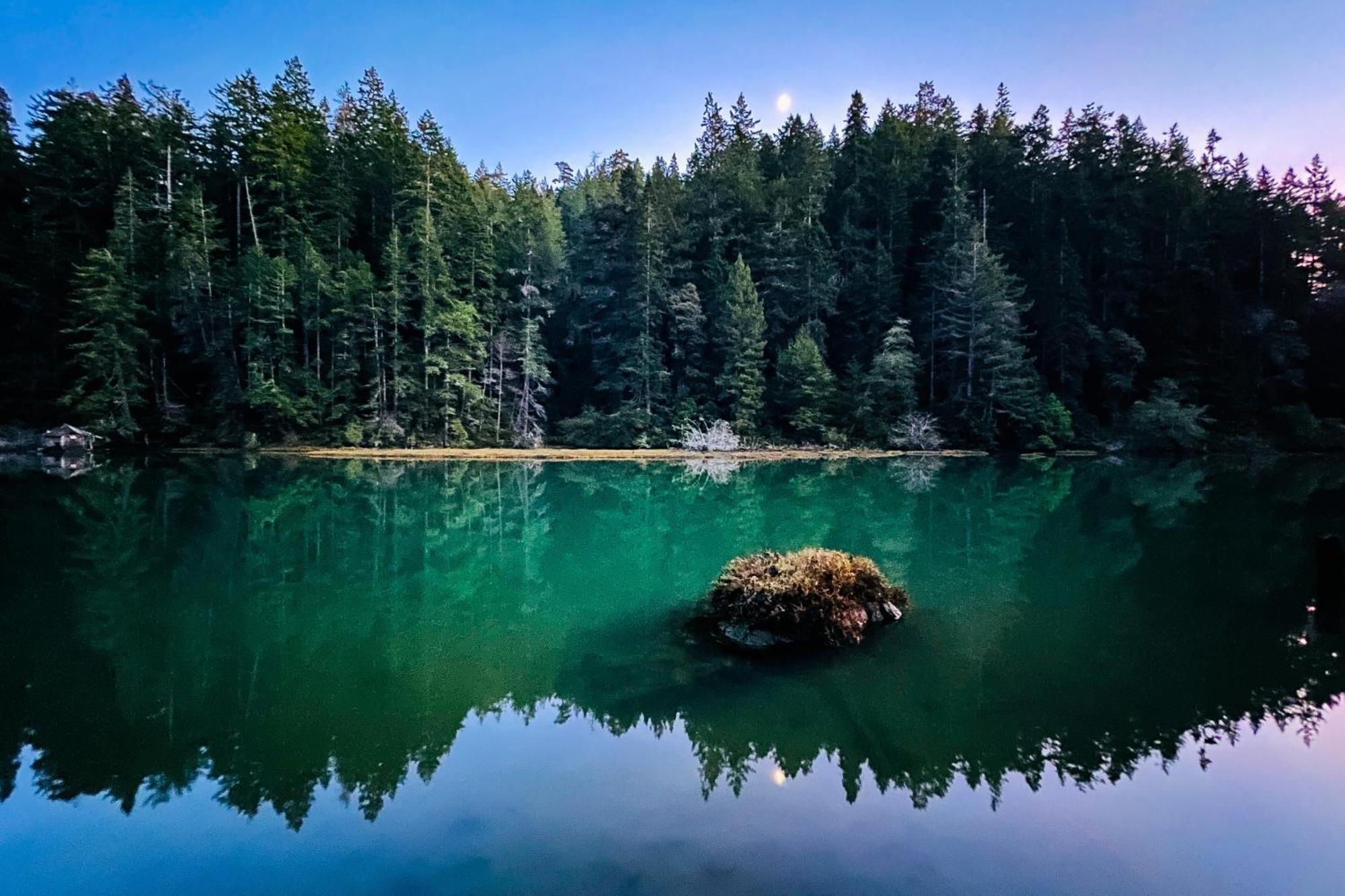 Mendocino Redwood Retreat - Vista Home Albion 외부 사진