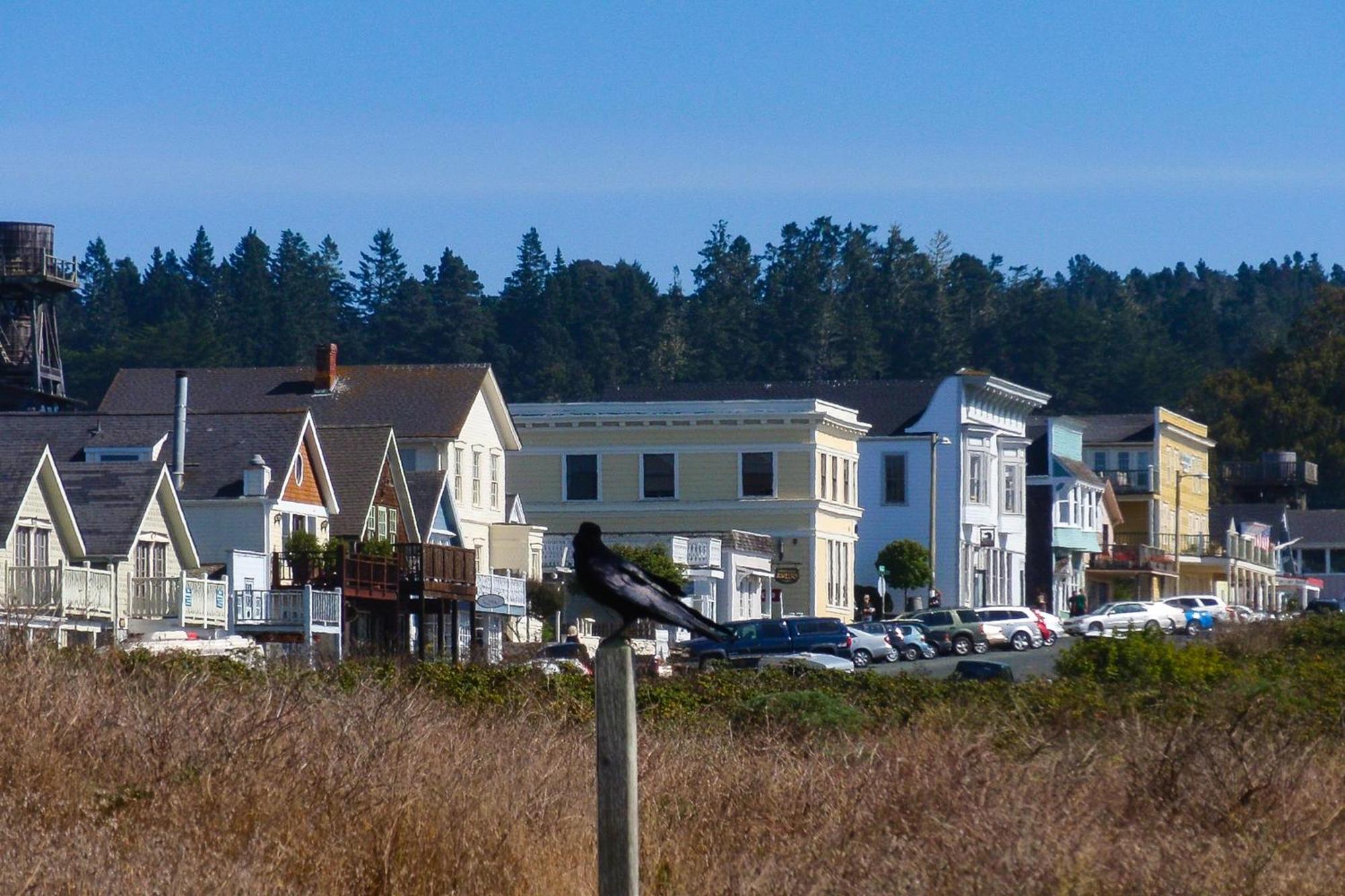 Mendocino Redwood Retreat - Vista Home Albion 외부 사진