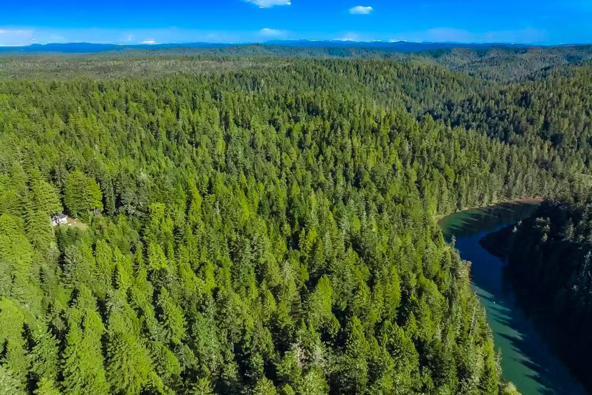 Mendocino Redwood Retreat - Vista Home Albion 외부 사진
