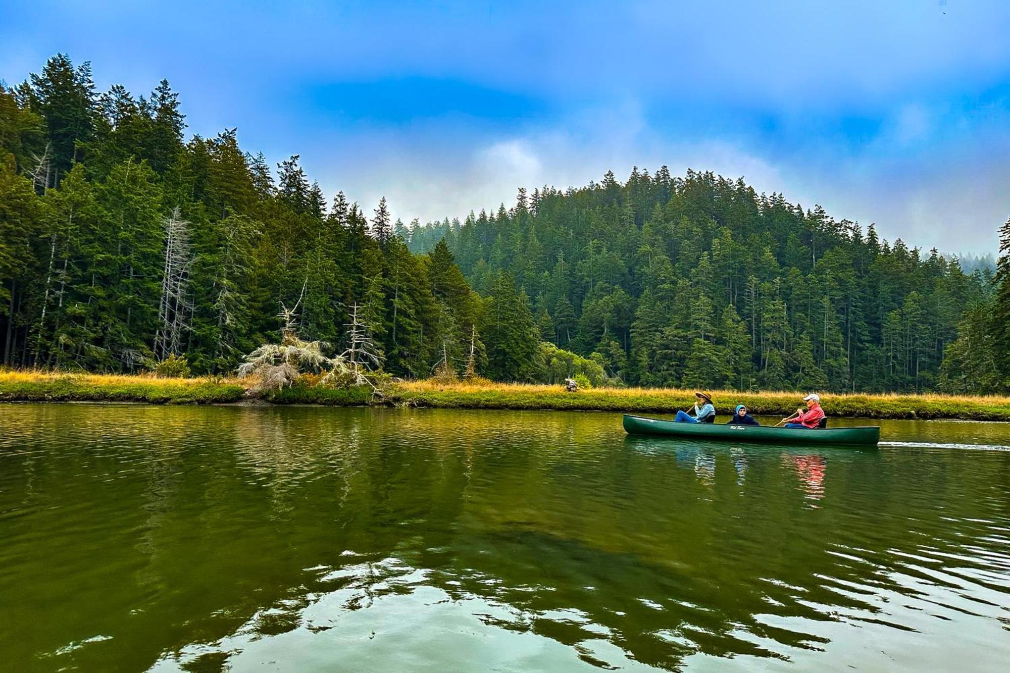 Mendocino Redwood Retreat - Vista Home Albion 외부 사진